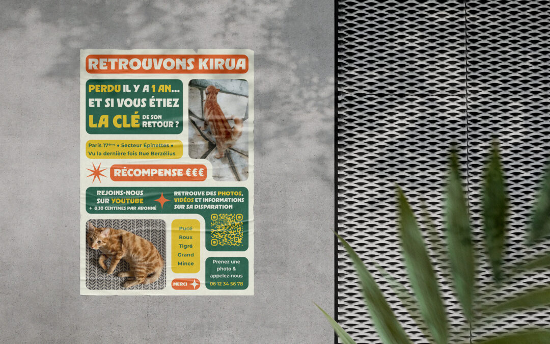 Retrouvons Kirua